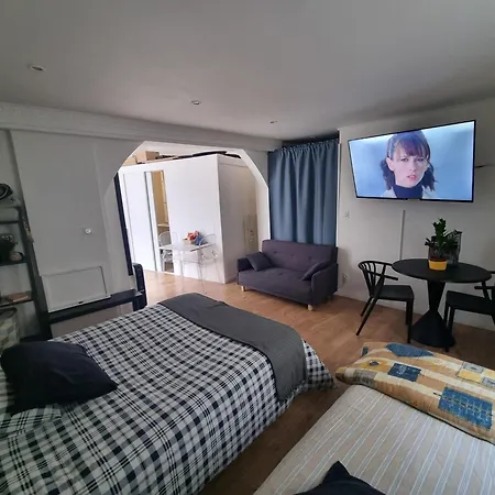 Apartment Cozy A 100 M Des Halles Dijon